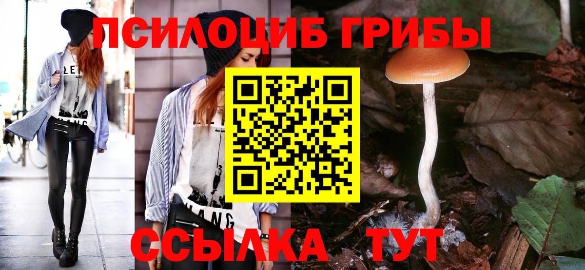 Псилоцибиновые грибы Psilocybe Мытищи
