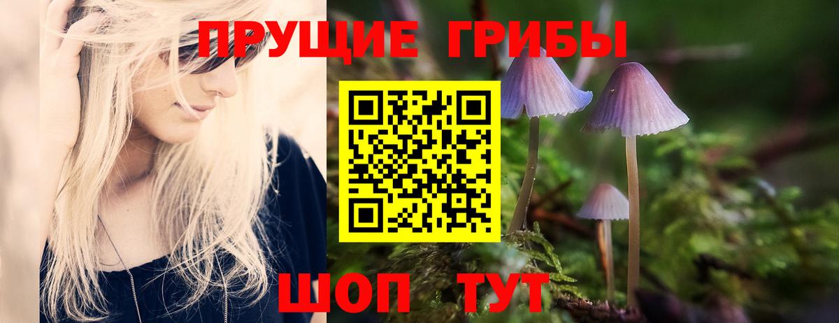 Мытищи  Псилоцибиновые грибы MAGIC MUSHROOMS  Вход с VPN  Галлюциногенные грибы GOLDEN TEACHER 